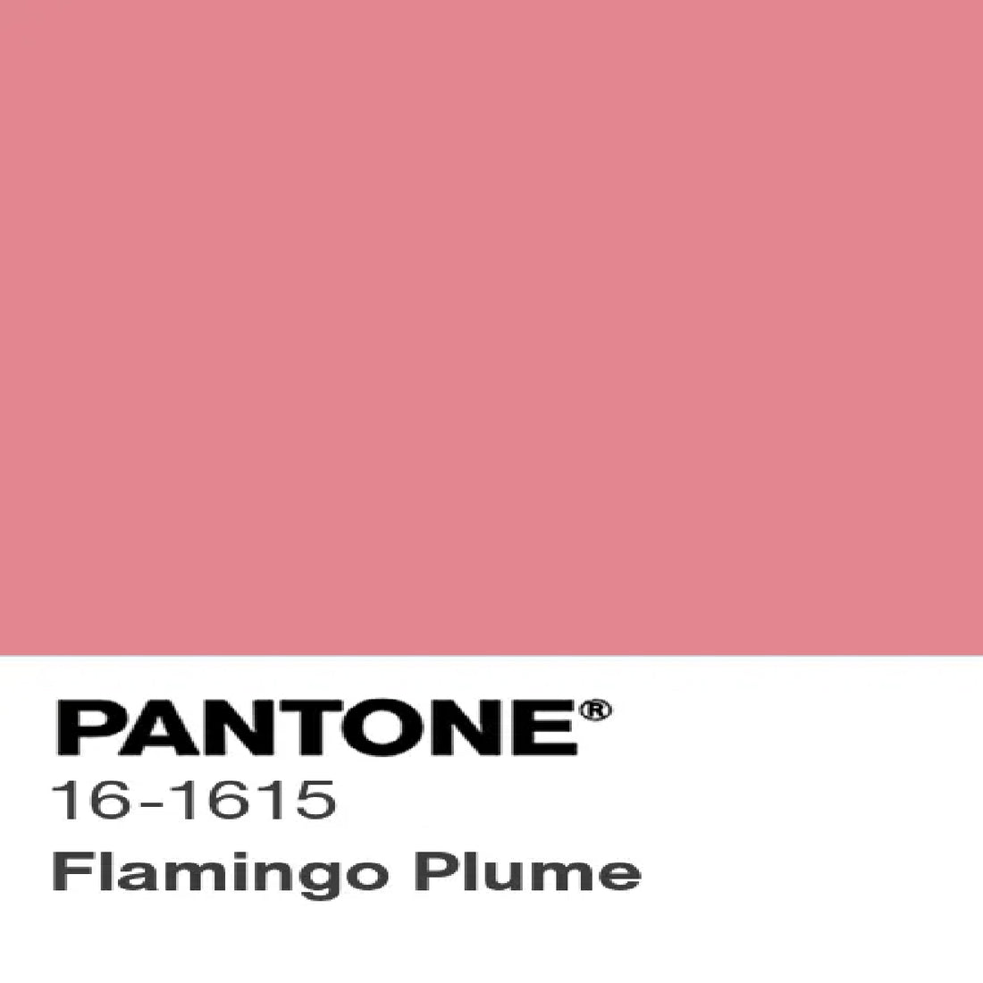 Silky Plain Dyed Munich Fabric