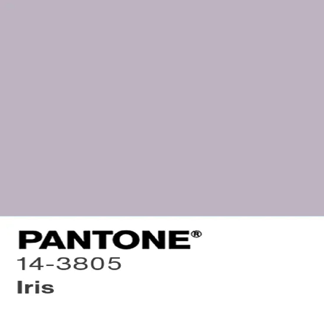 Silky Plain Dyed Paradise Fabric