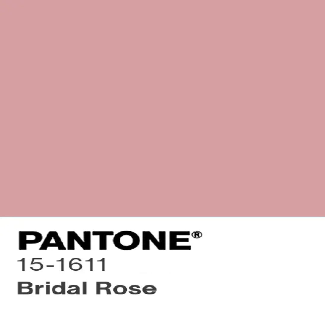 Silky Plain Dyed Hamburg Fabric
